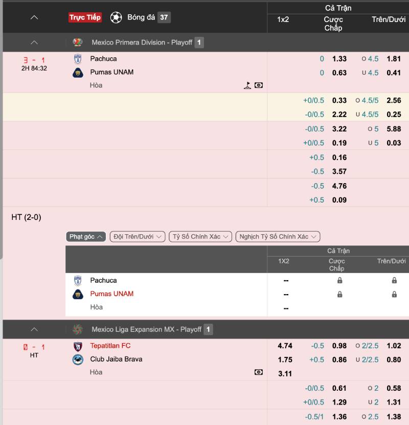 Cách dùng odds để soi kèo hiệu quả và tăng xác suất thắng dài hạn