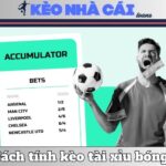 Cược Xiên Là Gì? Giải Thích Rõ Ràng, Thực Tế Và Cách Chơi