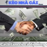 Làm Cò Cá Độ Bóng Đá - Thực Trạng, Rủi Ro Và Hệ Lụy 15 Làm Cò Cá Độ Bóng Đá – Thực Trạng, Rủi Ro Và Hệ Lụy
