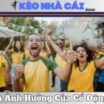 Tầm Ảnh Hưởng Của Cổ Động Viên - Sức Mạnh Vô Hình Trên Sân Cỏ