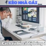 Từ Bỏ Cá Độ Bóng Đá - Lộ Trình Thực Tế Để Lấy Lại Tự Do 11 Từ Bỏ Cá Độ Bóng Đá – Lộ Trình Thực Tế Để Lấy Lại Tự Do