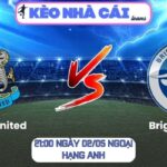 Newcastle United vs Brighton Hove Albion